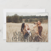 光エレガントミニマルモダン植物孔 シーズンカード (正面)