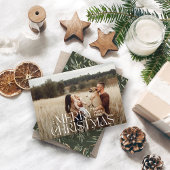 光エレガントミニマルモダン緑植物学 シーズンカード