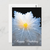 光エレガント花凍ってい誕生日葉書 ポストカード (正面/裏面)