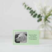 光シンプル緑エレガント犬フォトペット 名刺 (スタンド正面)