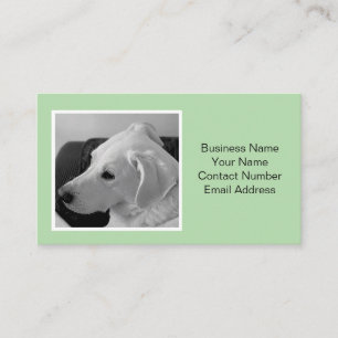 光シンプル緑エレガント犬フォトペット 名刺