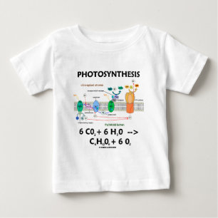 光合性(化学薬品)の方式 ベビーTシャツ