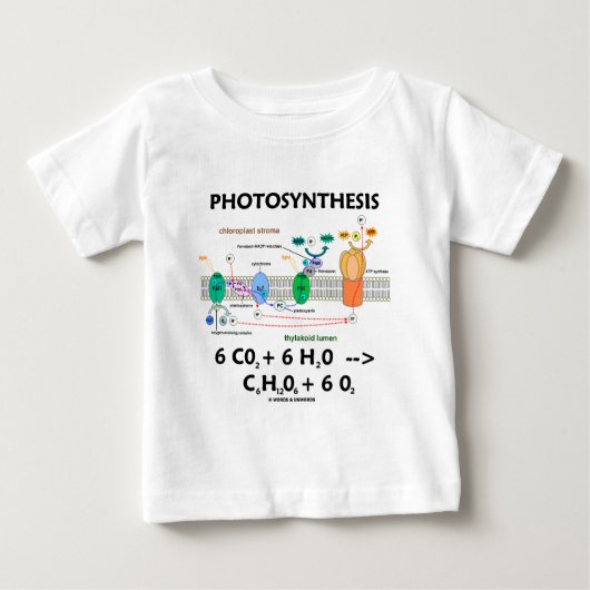 光合性(化学薬品)の方式 ベビーTシャツ (正面)