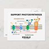 光合成エクヘールをサポート(生化学ユーモア) ポストカード (正面/裏面)