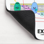 光合成エクヘールをサポート(生化学ユーモア) マウスパッド (コーナー)