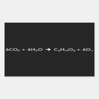 光合成方程式 長方形シール