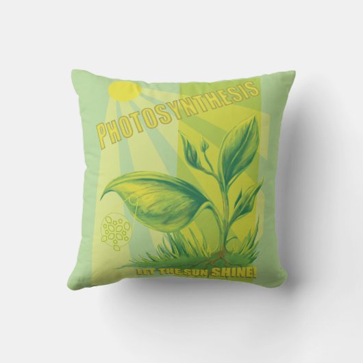 光合成 クッション (裏面)