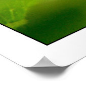 光合成 ポスター (角)