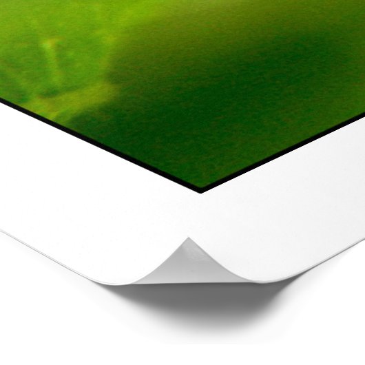 光合成 ポスター (角)