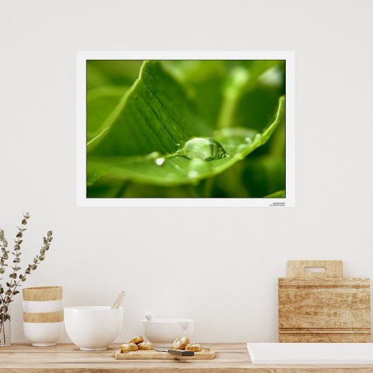 光合成 ポスター (キッチン)