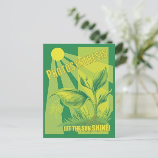光合成 ポストカード (スタンド正面)