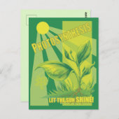 光合成 ポストカード (正面/裏面)