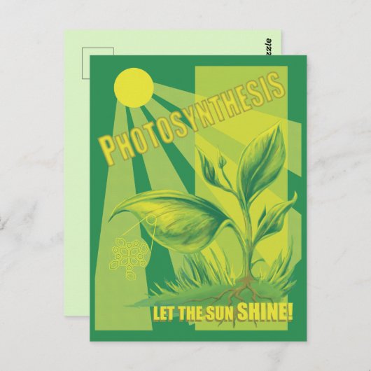 光合成 ポストカード (正面/裏面)