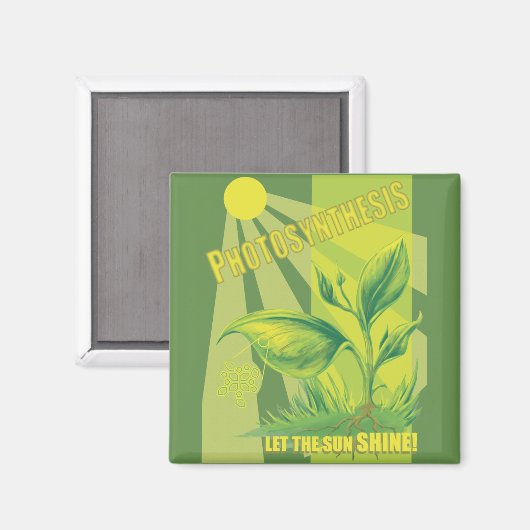 光合成 マグネット (正面/裏面)