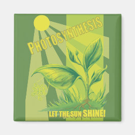 光合成 マグネット