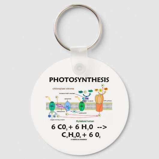 光合成（化学式） キーホルダー (正面)