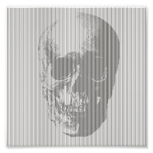 光学的イリュージョンスカル