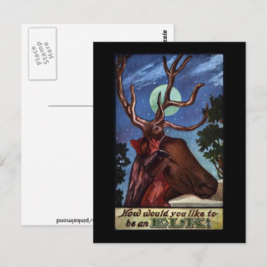 光学錯覚エルク ポストカード (正面/裏面)