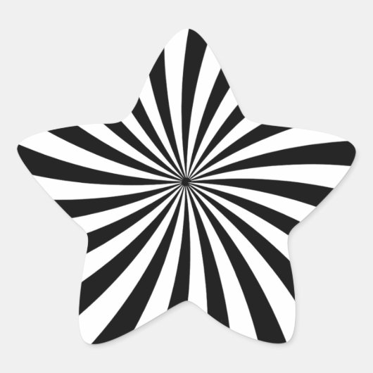 光学錯覚白黒旋回 星シール (正面)