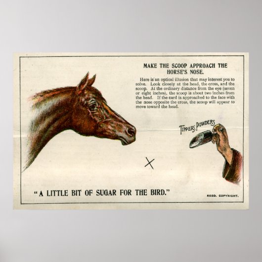 光学錯覚1896 ポスター (正面)