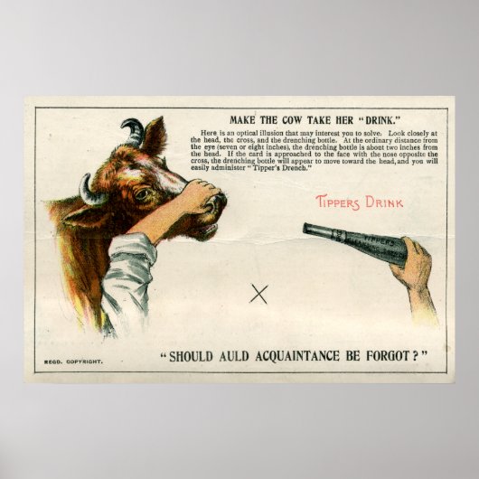 光学錯覚， 1896 ポスター (正面)