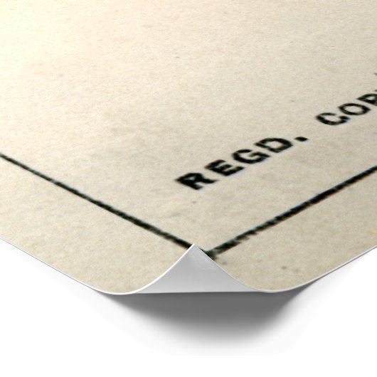 光学錯覚， 1896 ポスター (角)