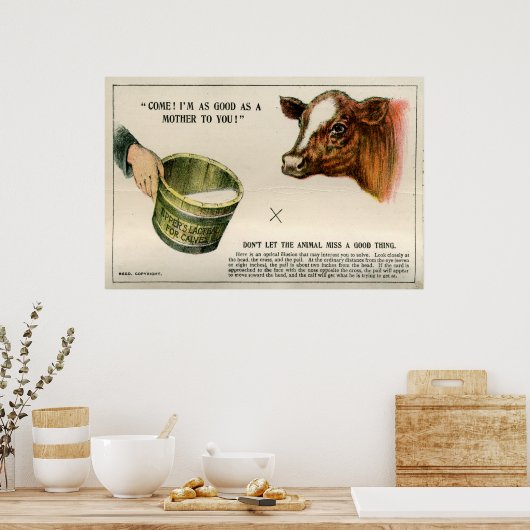 光学錯覚, 1896 ポスター (キッチン)