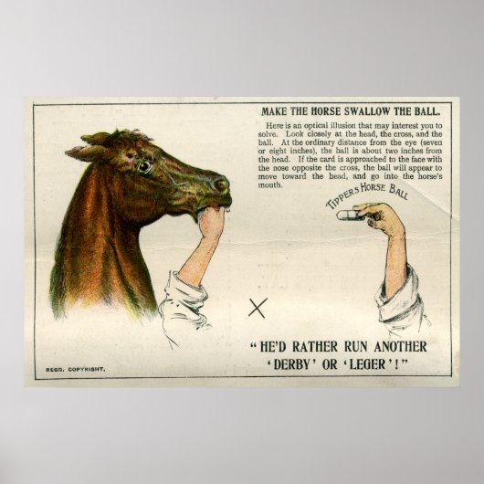 光学錯覚， 1896 ポスター (正面)