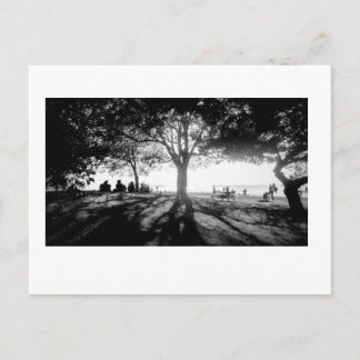 光後を追1 ポストカード