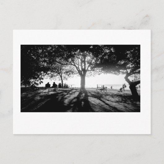 光後を追1 ポストカード (正面)