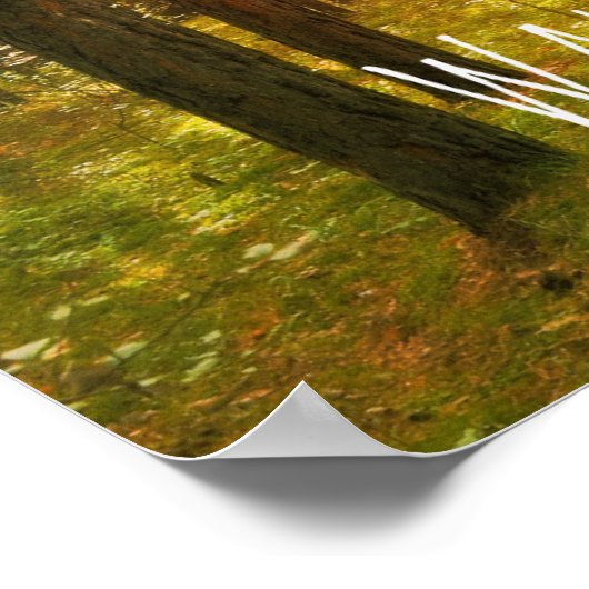 光感動的聖句を歩く ポスター (角)