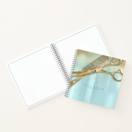 光沢および光沢美容師金ゴールド/ティール(緑がかった色)ID814 ノートブック (内部)