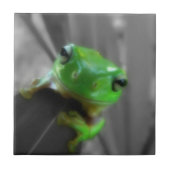 光沢がある緑カエル タイル (正面)