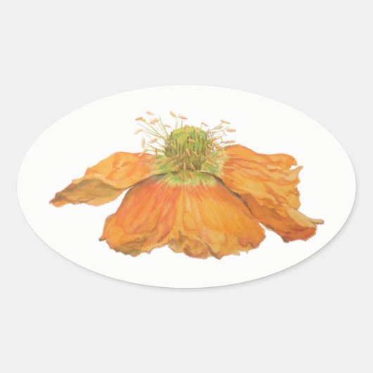 光沢のあるオレンジアイスランドのケシの楕円形のステッカー 楕円形シール (正面)