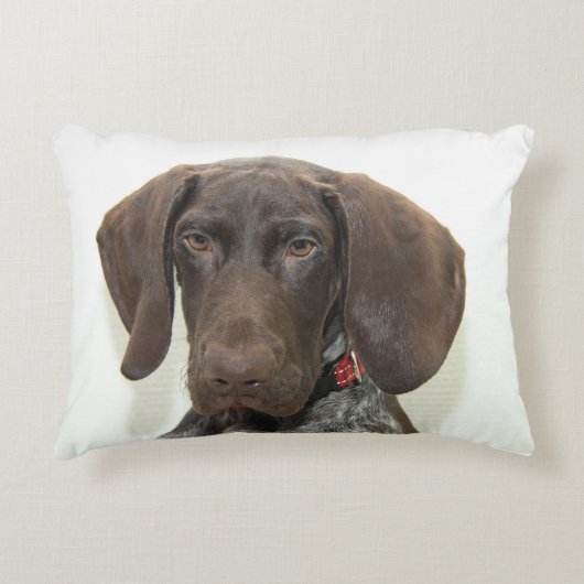 光沢のあるグリズリー アクセントクッション (正面)