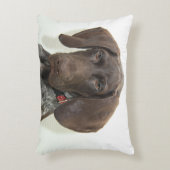 光沢のあるグリズリー アクセントクッション (正面(垂直))