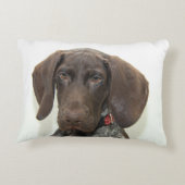 光沢のあるグリズリー アクセントクッション (裏面)