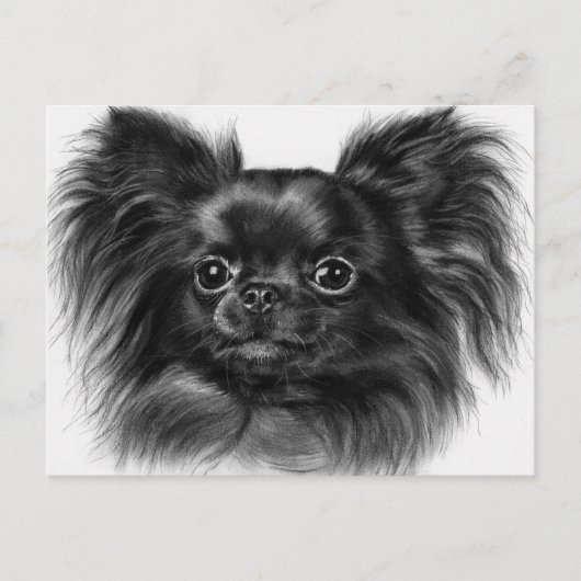 光沢のあるチャーム – ハンドチワ絵を描ワアール ポストカード (正面)