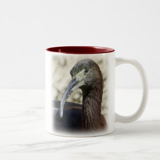 光沢のあるトキ亜科のコーヒー・マグ ツートーンマグカップ (右)