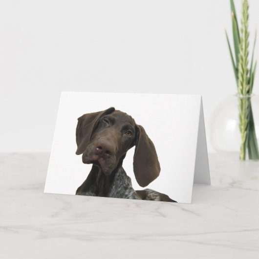 光沢のあるハイイログマの挨拶状 カード (正面)