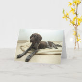 光沢のあるハイイログマの挨拶状 カード (黄色い花)