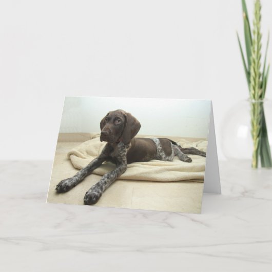 光沢のあるハイイログマの挨拶状 カード (正面)