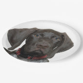 光沢のあるハイイログマ ペーパープレート (アングル)