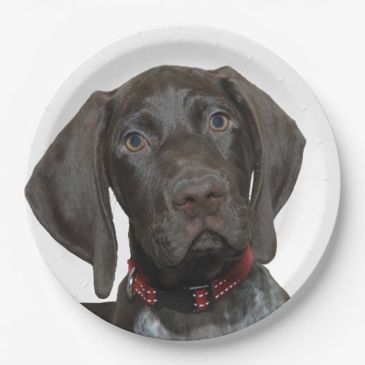 光沢のあるハイイログマ ペーパープレート (正面)