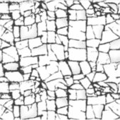 光沢のあるビニールステッカー | グラフィックデザイン ロータス シール (正面)