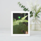 光沢のあるビートルポストカード ポストカード (スタンド正面)