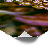 光沢のあるポスター、スプラッシュ色の雨離れ滴がある。 ポスター (コーナー)