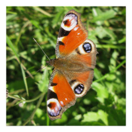 光沢のあるポスター ポスター