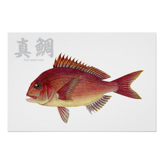 光沢のあるポスター ポスター (正面)