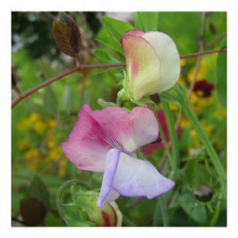 光沢のあるポスター ポスター